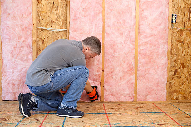 Best Insulation Materials and Products in Leonville, LA
